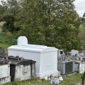 img image8