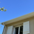 img image11