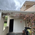 img image12