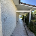 img image11